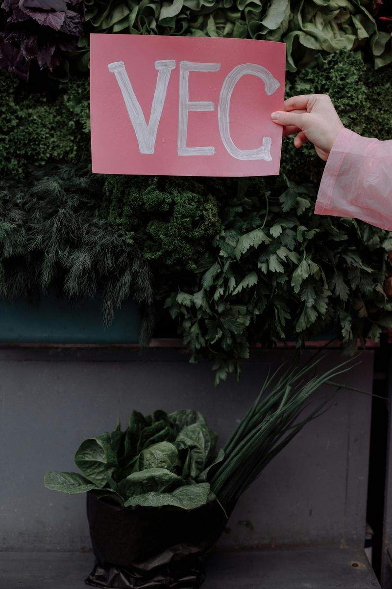 Kräuteroase GmbH - Image 14